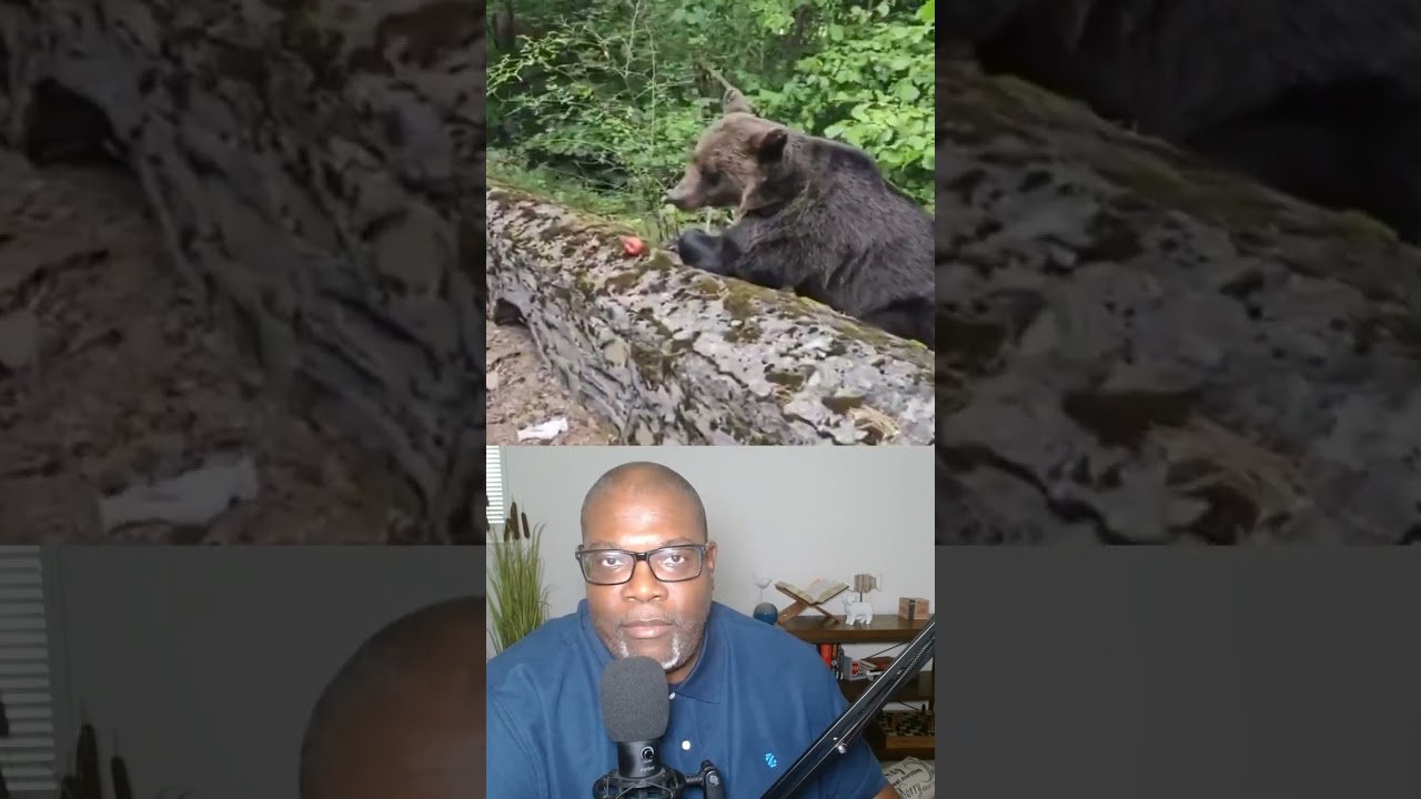 That's not a pet, it's a bear