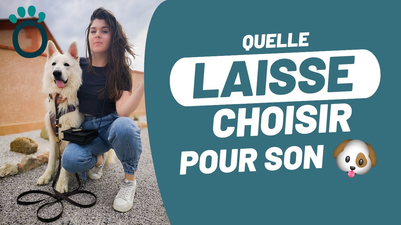 QUELLE LAISSE CHOISIR pour son CHIEN ?
