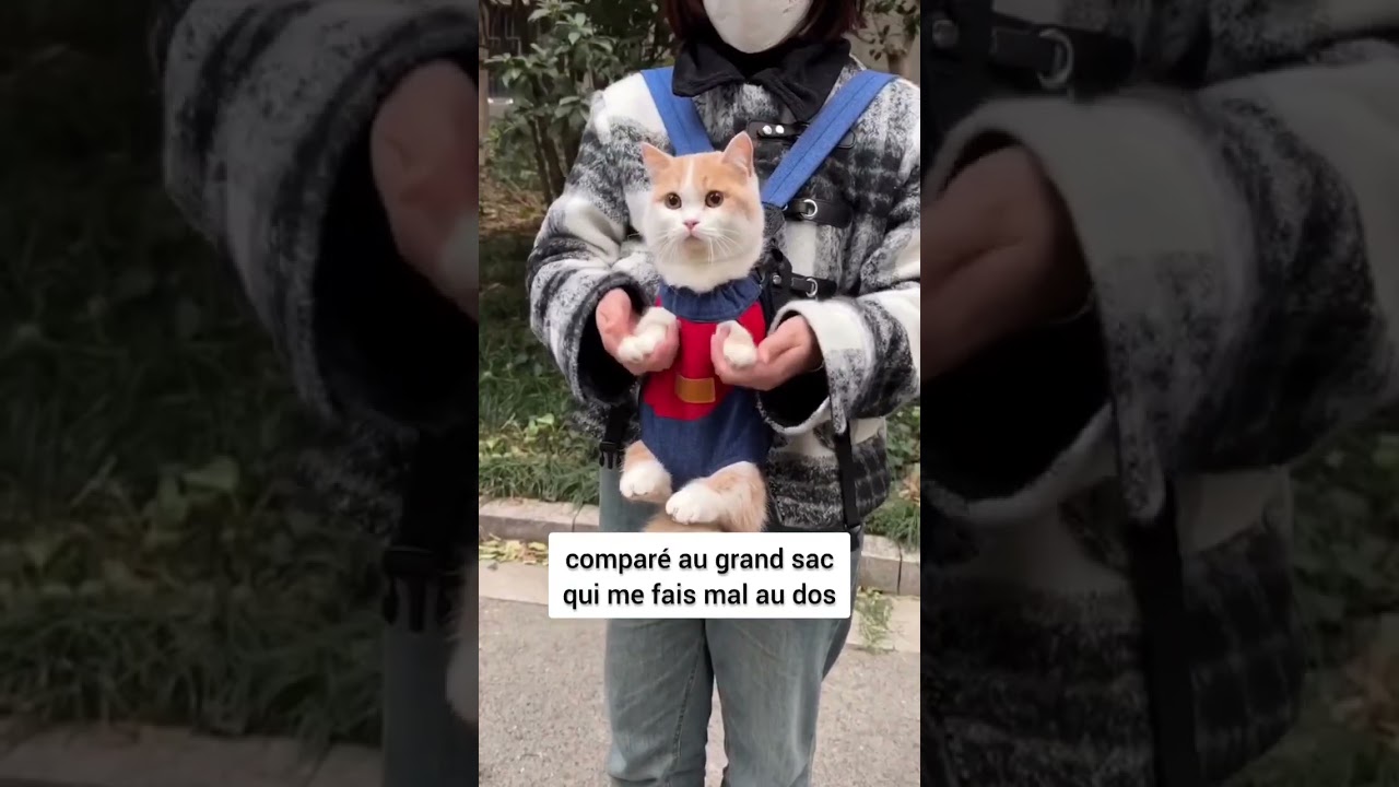 Un sac pour chat trop mignon ! 😻 #chat #chaton #testproduit #transport #pourtoi