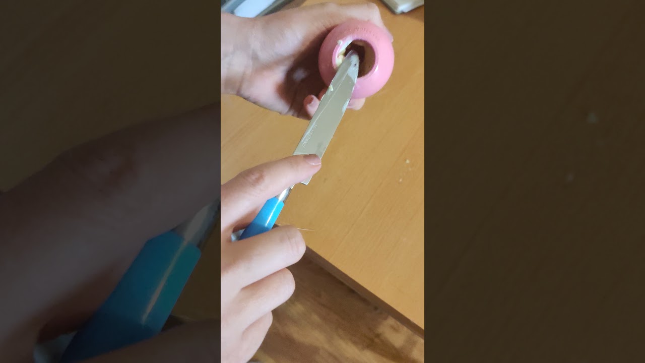 Jouet KONG Chiot Zoomalia