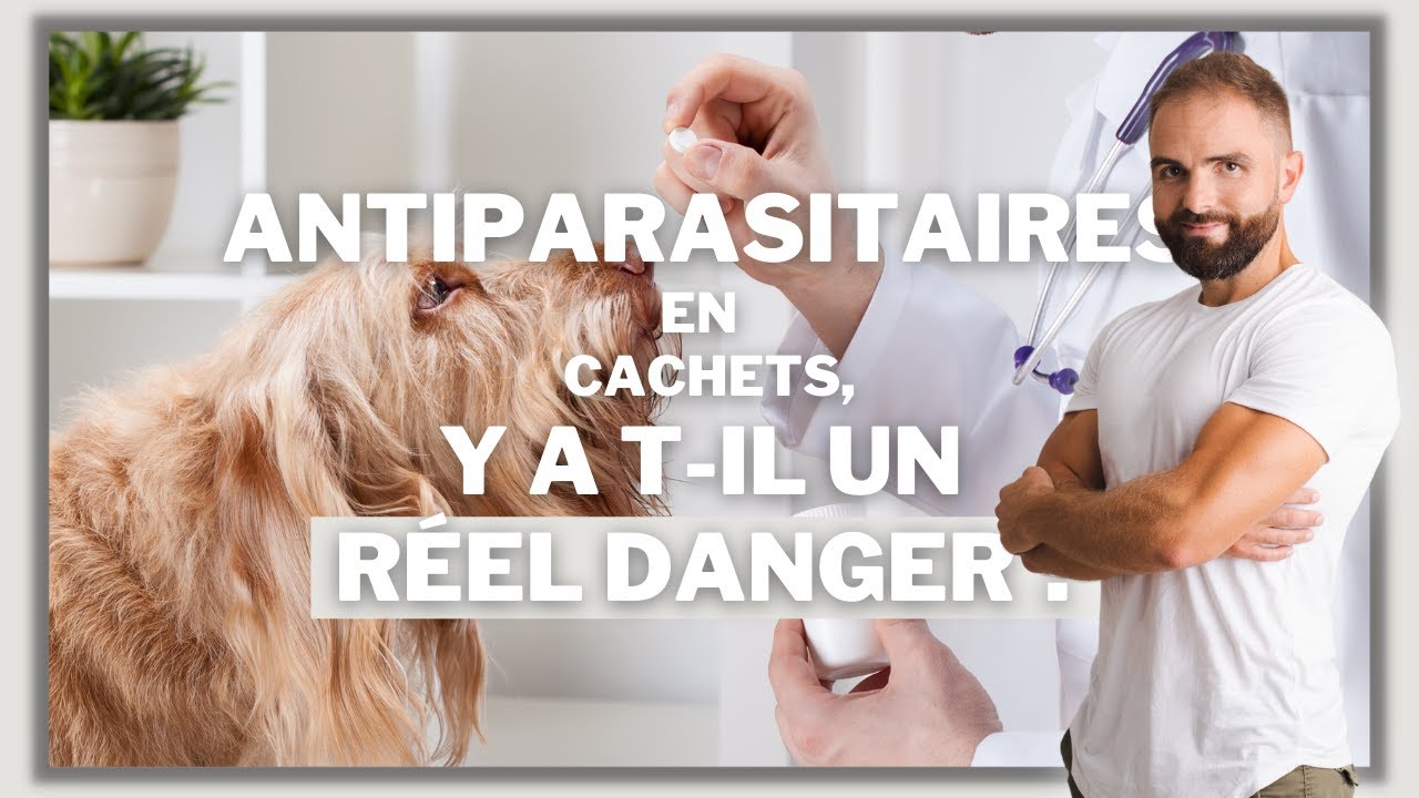 Antiparasitaires en cachets : réel danger ou pas ?