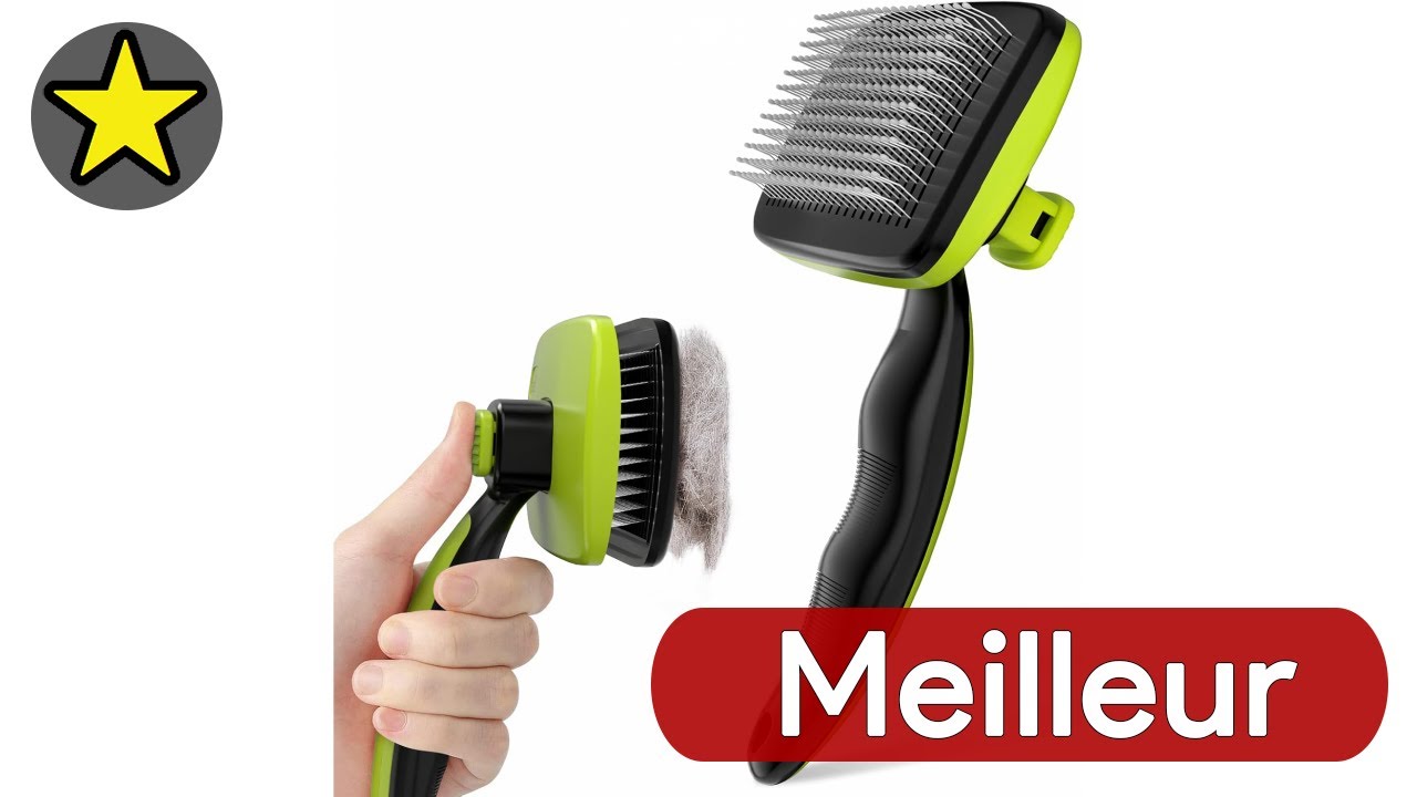 🏆 TOP 3 MEILLEUR BROSSE POUR CHIEN 2025