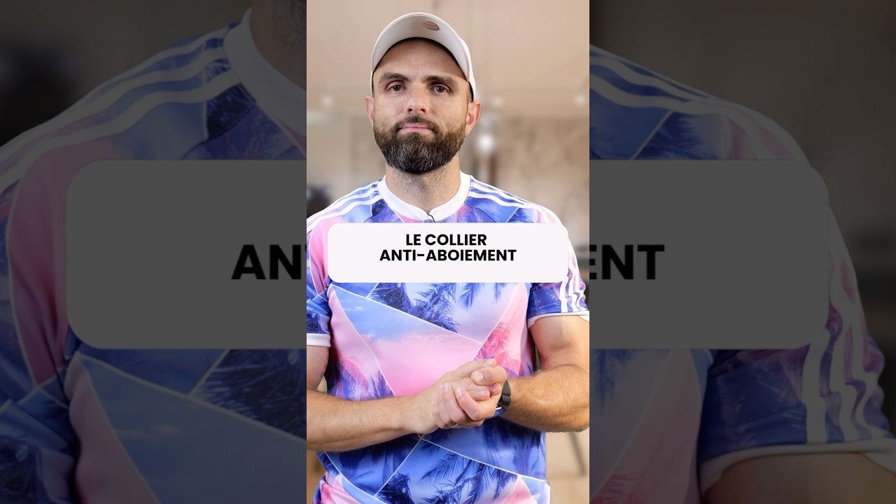 L’avis d’Esprit Dog sur le collier anti aboiement