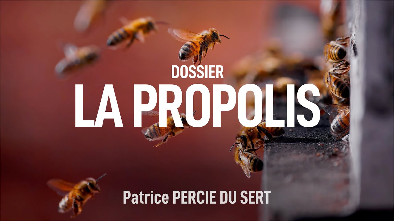 Les vertus de la propolis ! Patrice PERCIE DU SERT