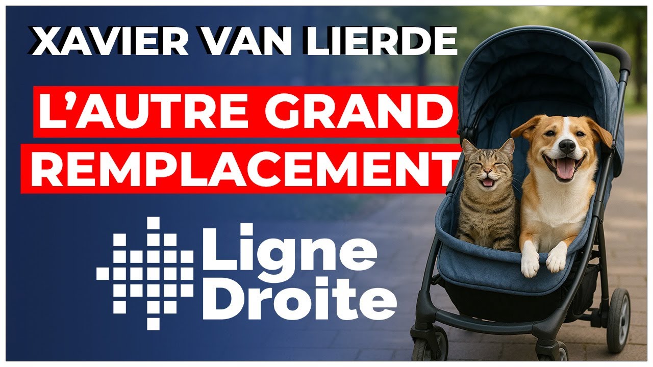 Effondrement de la natalité : quand le chien remplace l’enfant - Xavier Van Lierde
