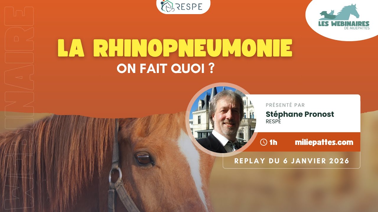 WEBINAIRE - La rhino, comment on fait ?