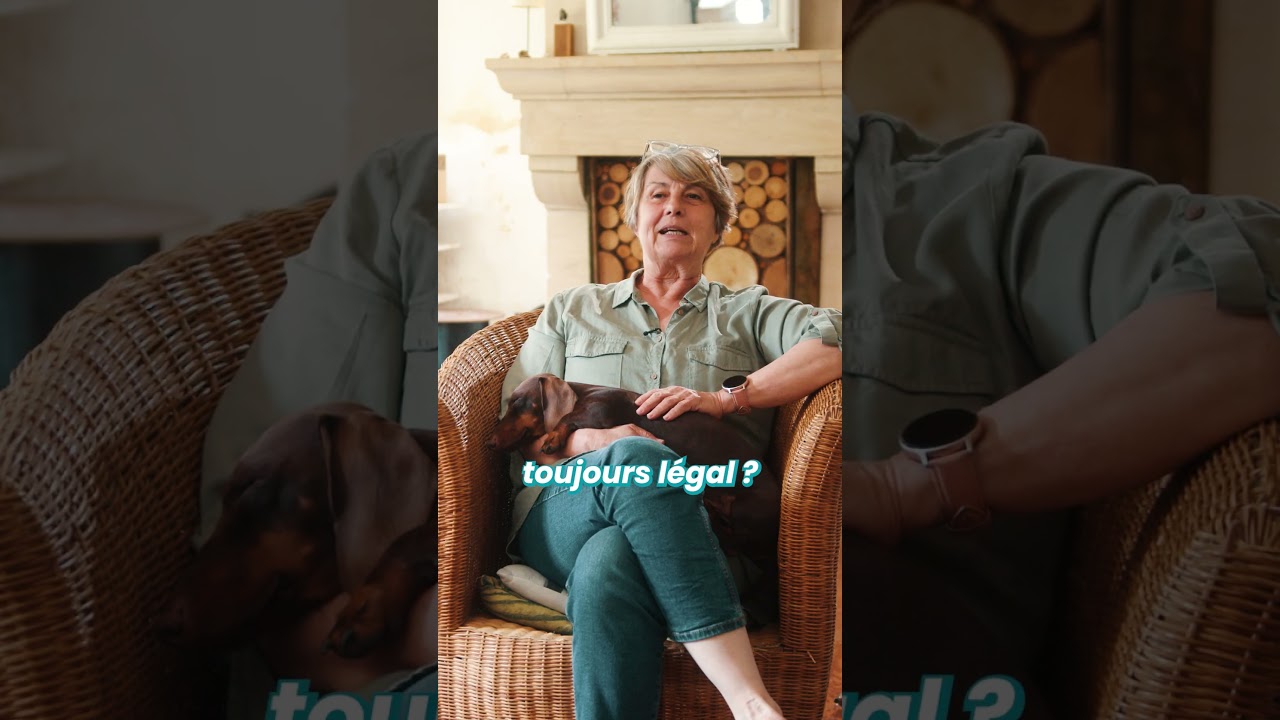 Couper la queue d'un chien : légal ou pas ?