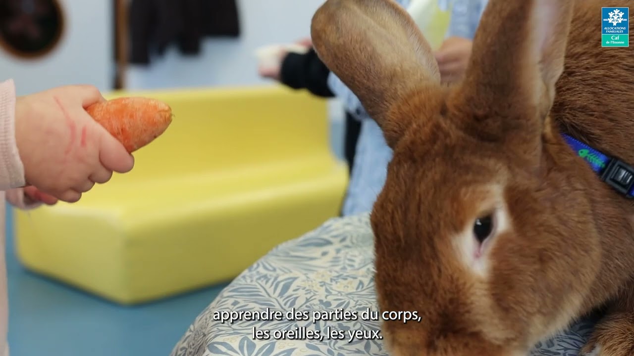 La médiation animale à Fleury-Mérogis - Plus qu’un métier, une vocation.