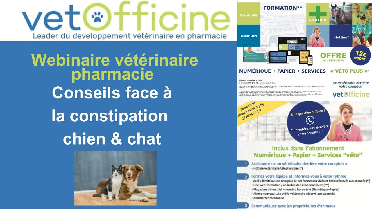 Pharmaciens : vos conseils contre la constipation chez le chien et le chat
