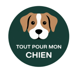 Tout pour mon chien