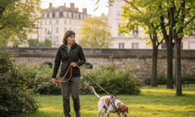 découvrez le mantrailing, une activité sportive et ludique de pistage canin à pratiquer avec votre chien. renforcez votre complicité tout en vous amusant !