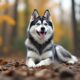découvrez tout sur l'alaskan klee kai, ce mini-husky captivant : origine, caractère, soins et conseils pour bien vivre avec ce chien unique.