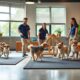 découvrez l'essor des crèches pour chiens, un phénomène qui séduit de plus en plus de propriétaires d'animaux de compagnie soucieux du bien-être de leurs compagnons.