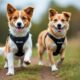 découvrez comment choisir le harnais de promenade idéal pour votre chien en 2025, en tenant compte de sa morphologie pour un confort et une sécurité optimaux.