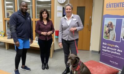 participez à la journée portes ouvertes à l’entente canine d’étrembières et plongez dans l’univers fascinant des chiens. rencontrez des passionnés, découvrez des activités et profitez d’un moment convivial autour du meilleur ami de l’homme.