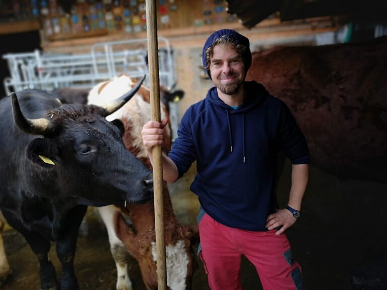 Sébastien Lecornu appelle à un renforcement vigoureux des actions gouvernementales contre la maltraitance animale