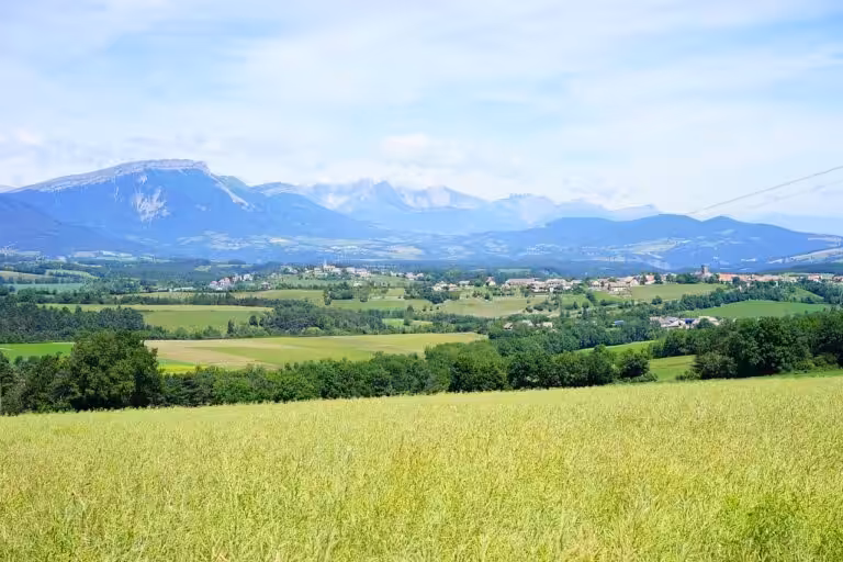 Dans le Calvados, une ancienne vétérinaire se réinvente en experte du bien-être animal
