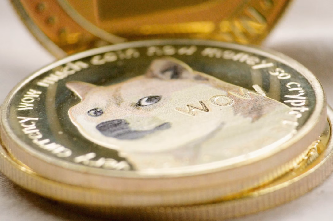 Chiot Labrador et Golden Retriever : quel prix ?